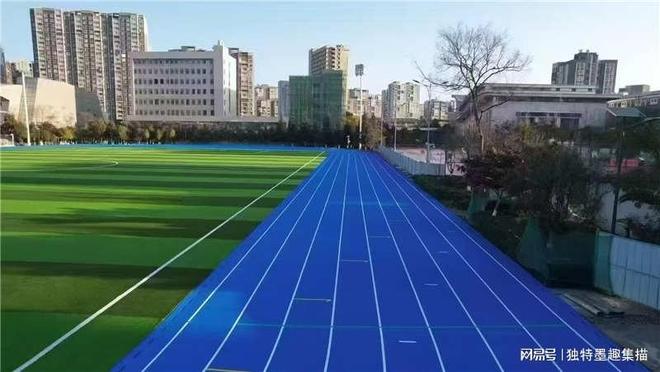 2025塑胶跑道厂家推荐玉峰体育自有施工团队规范流程省心(图2)