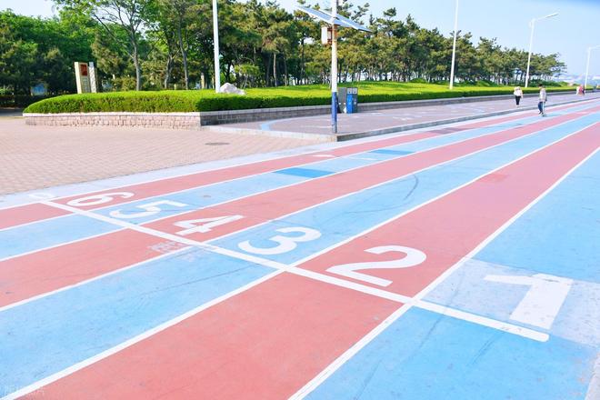 自结纹塑胶跑道的优缺点分析(图2)