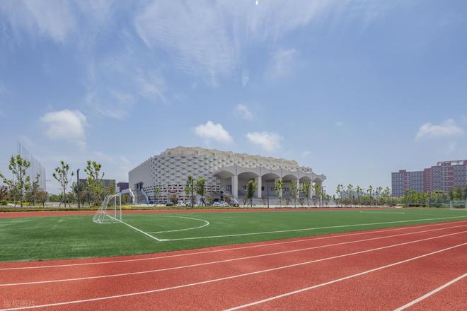 B·sport（中国体育）：新国标塑胶跑道：安全与健康的保障(图4)