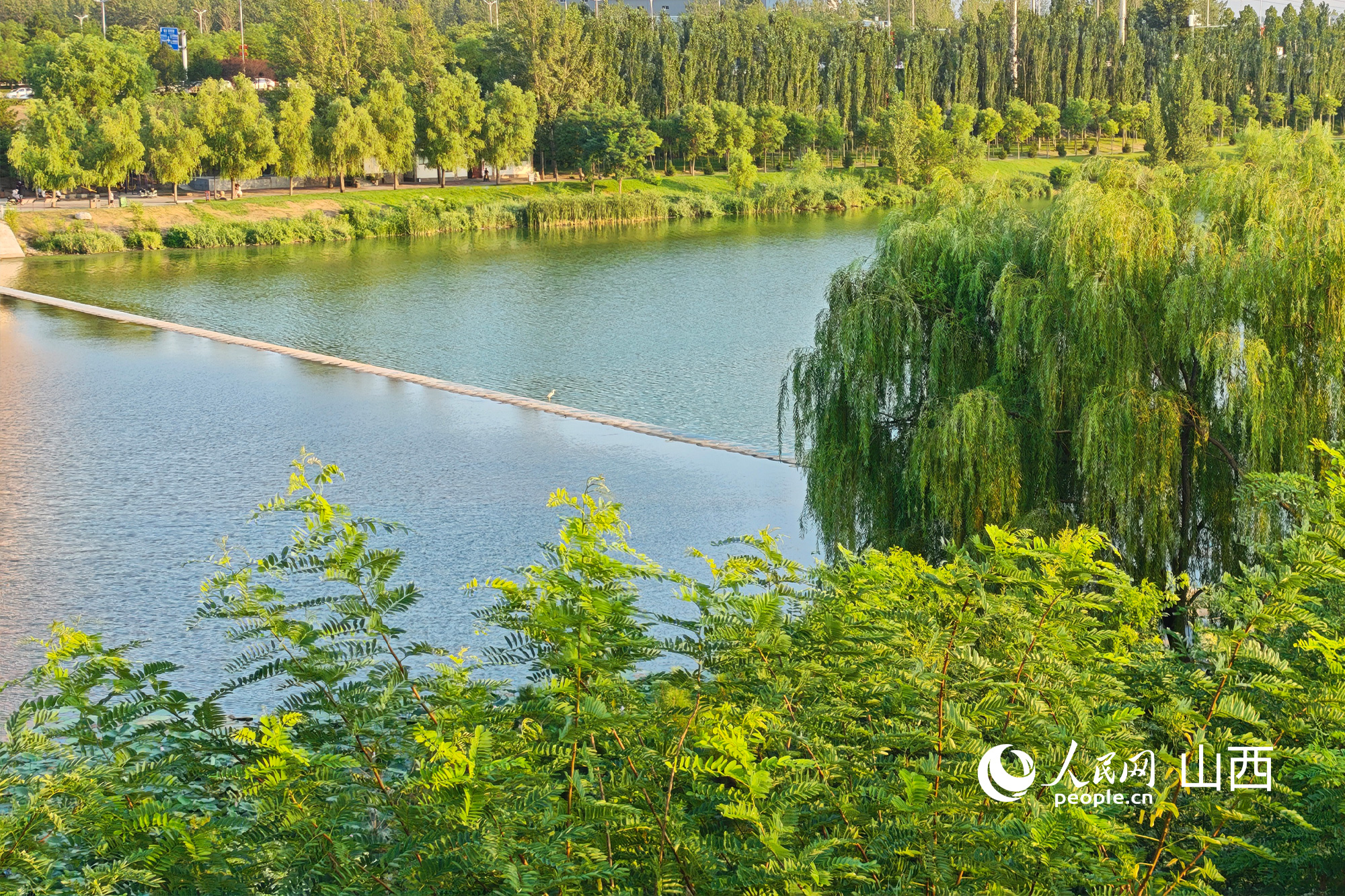 B体育：山西：守护汾河碧水长流(图5)