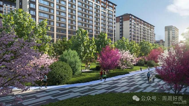 B·sport（中国体育）：金融街武夷·融御网站-金融街武夷·融御2025年最新价格-户型图(图13)