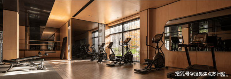 蓝城丹枫云庐：宋风院墅太湖新城第三极高端人居(图8)