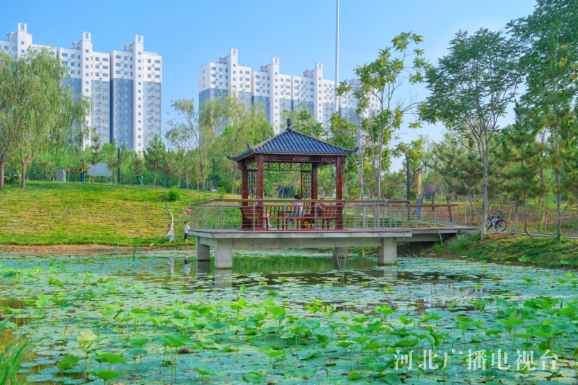 闪闪发光的城临城：为居民留下一汪清水(图5)