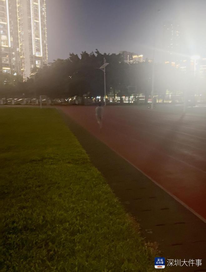 国庆假期不看人山人海这群深圳人在“抢”什么？(图2)