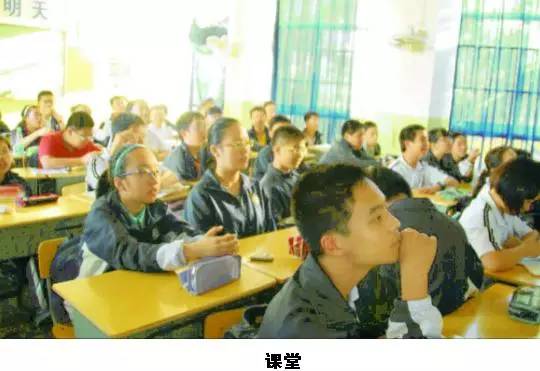 楚才作文放榜！这10所初中获奖最多！第2的最难猜……(图5)