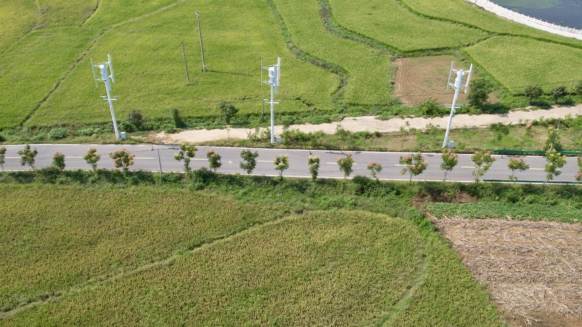 生态绘新景美好入画来(图2)