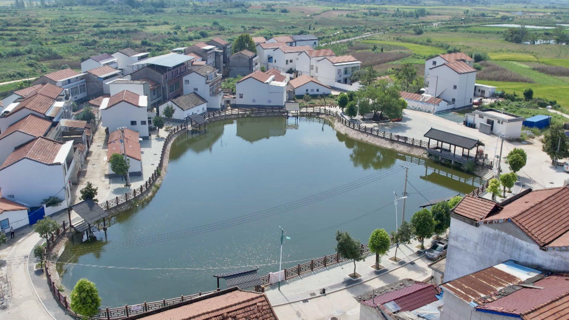 生态绘新景美好入画来(图3)