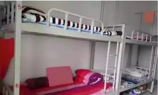 B·sport（中国体育）：走近清华北大的摇篮——濮阳市一高(图6)