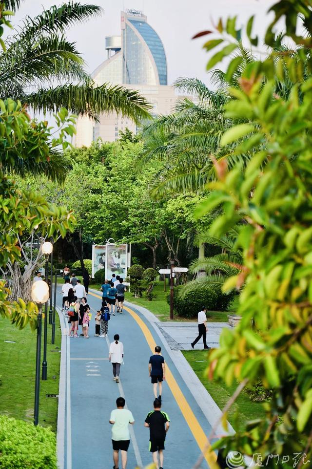 重磅！厦门将再添一条健身步道厦金大桥、滨海大道有新进展→(图1)