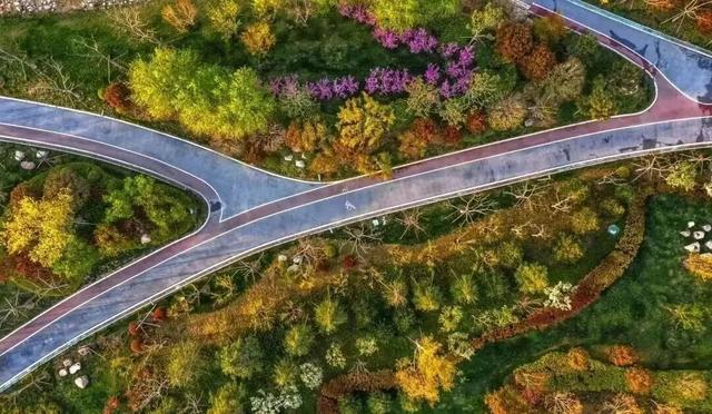 初冬吸氧跑！郑州航空港5处宝藏跑步地推荐每步皆风景(图8)