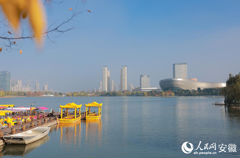 阜阳上扬④丨蝉联“全国文明城市”背后的善治密码(图2)