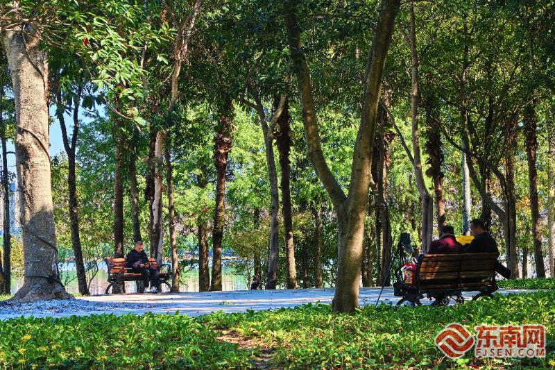 宁德环东湖景观焕新升级市民乐享“会呼吸的水岸”(图1)