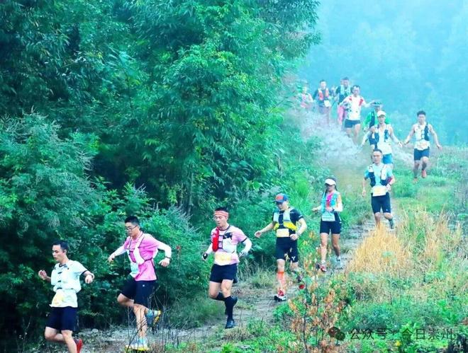 全国先进！崇州上榜(图3)