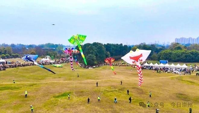 全国先进！崇州上榜(图5)