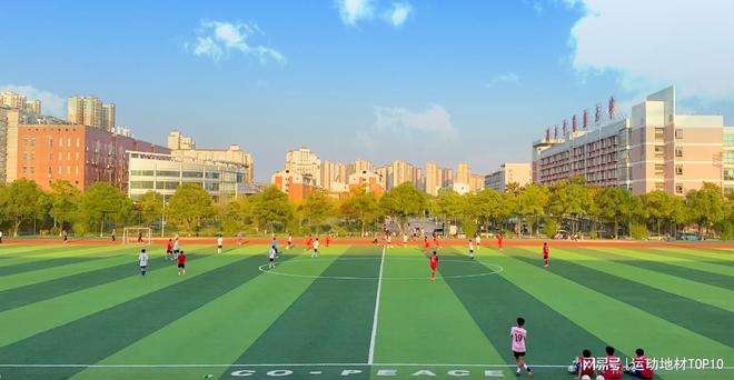 B·sport（中国体育）：权威盘点！2025年人造草坪十大品牌榜单出炉谁是行业领头羊？(图3)