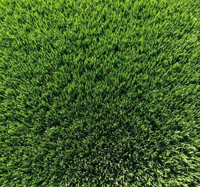 B·sport（中国体育）：权威盘点！2025年人造草坪十大品牌榜单出炉谁是行业领头羊？(图1)