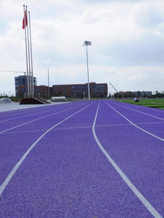 塑胶跑道厚度有讲究！不同场景选对才实用(图3)
