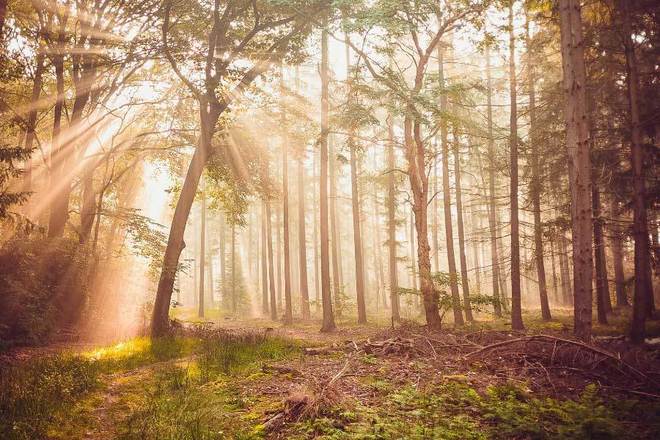 B体育：体育赛事采用环保材料(图2)