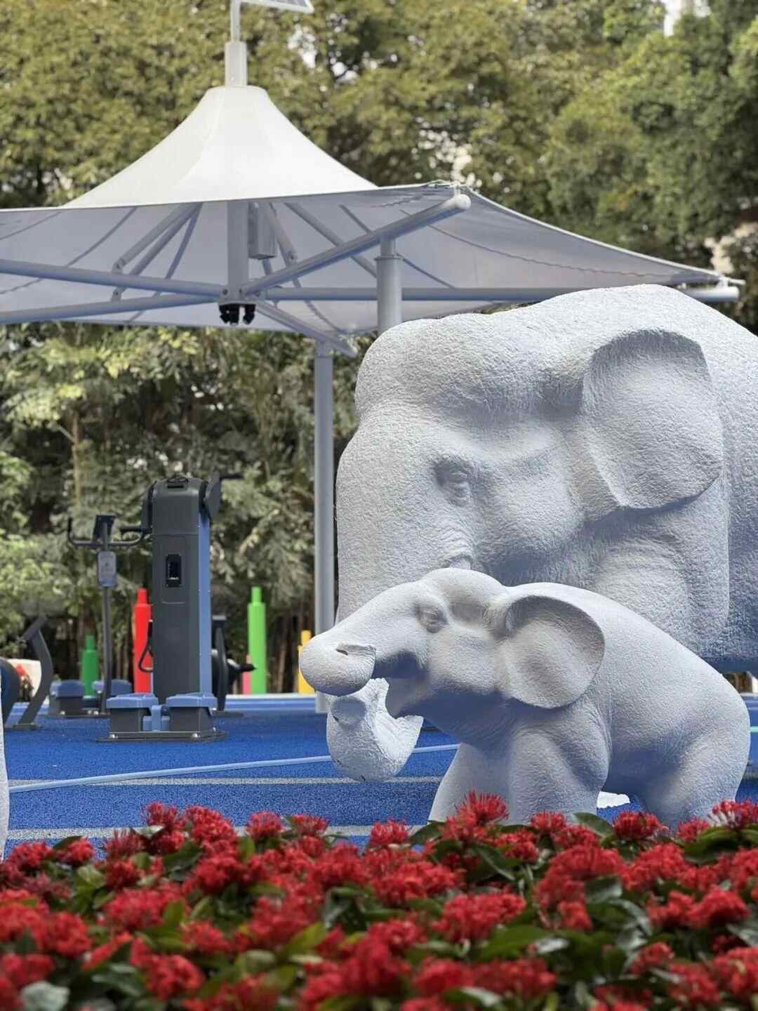 全新升级！广州流花湖公园健身区正式对外开放(图2)