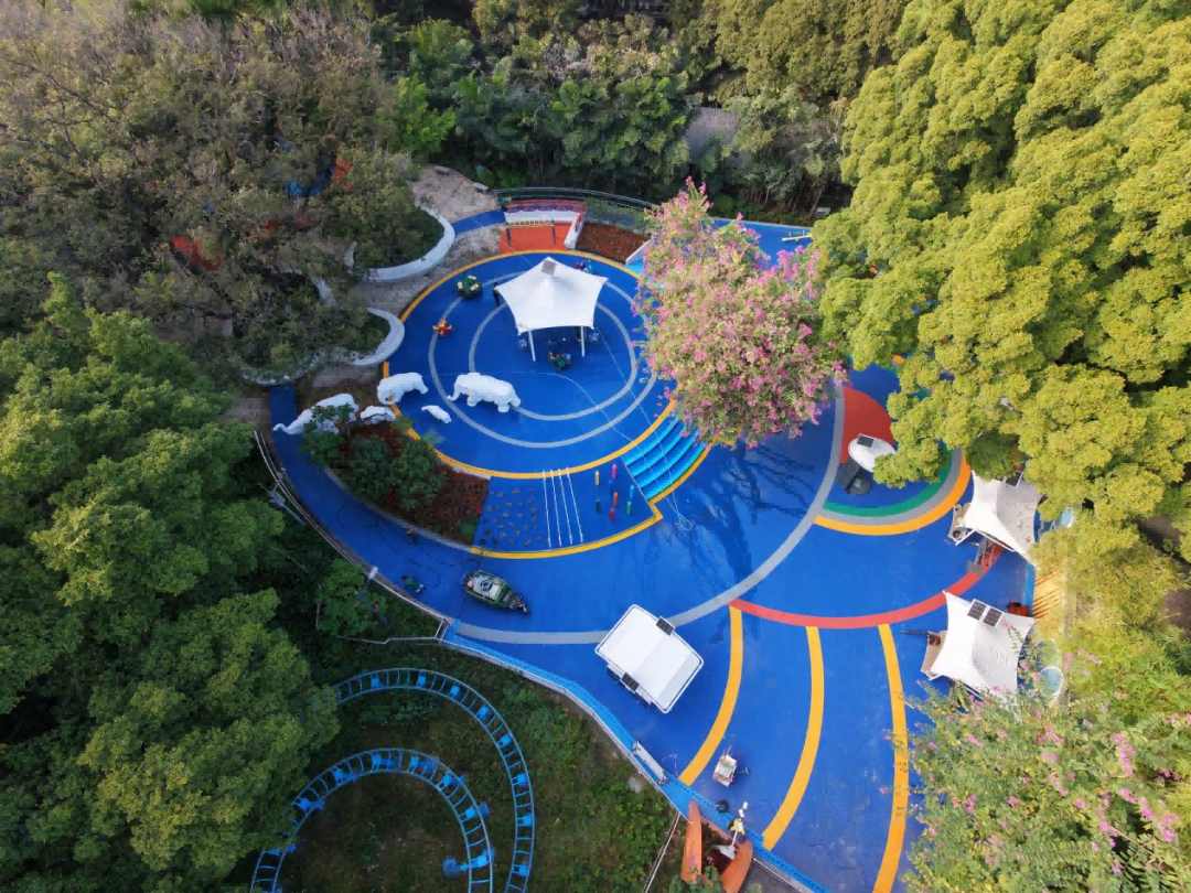 全新升级！广州流花湖公园健身区正式对外开放(图1)