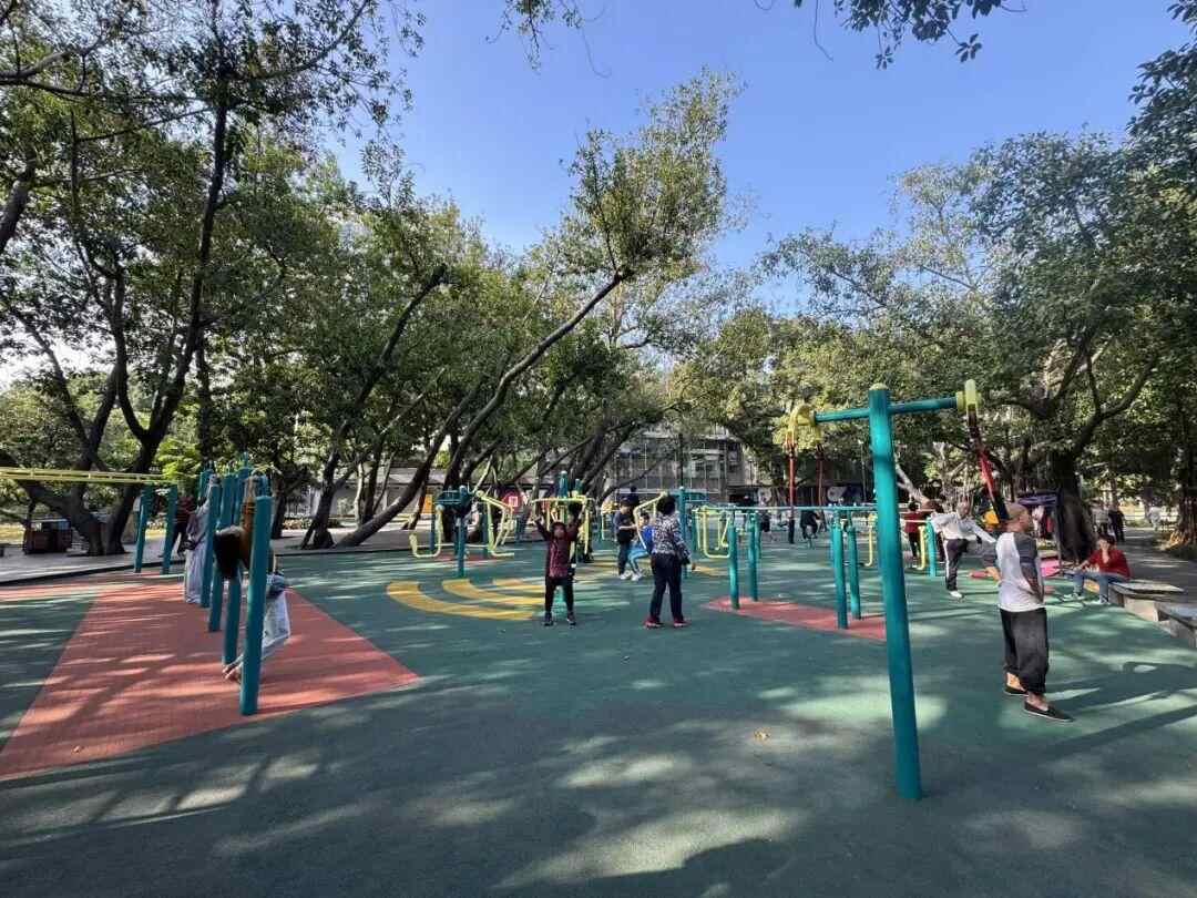 全新升级！广州流花湖公园健身区正式对外开放(图4)