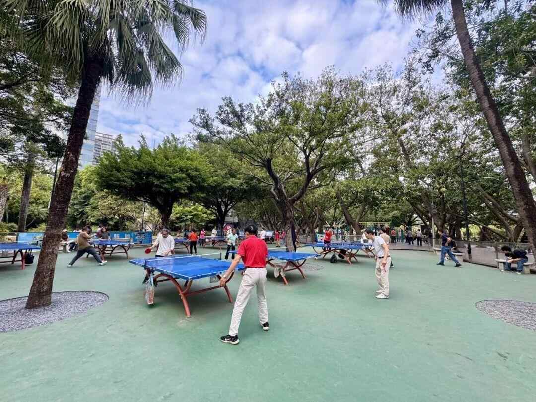 全新升级！广州流花湖公园健身区正式对外开放(图5)