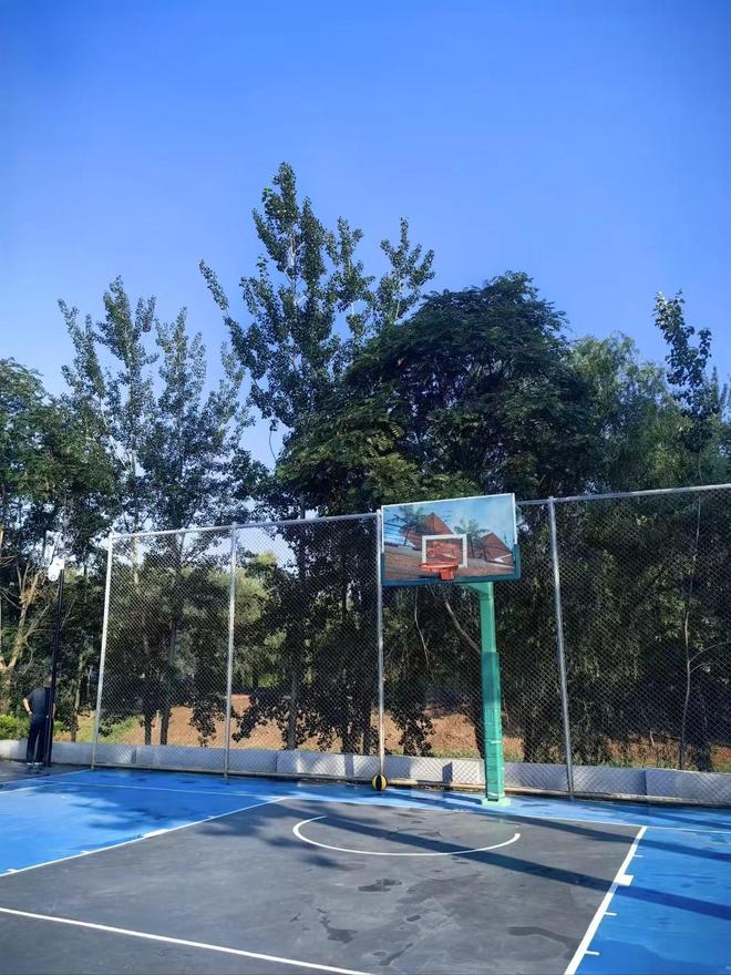 混合型塑胶跑道——专业赛事的常客揭秘(图3)