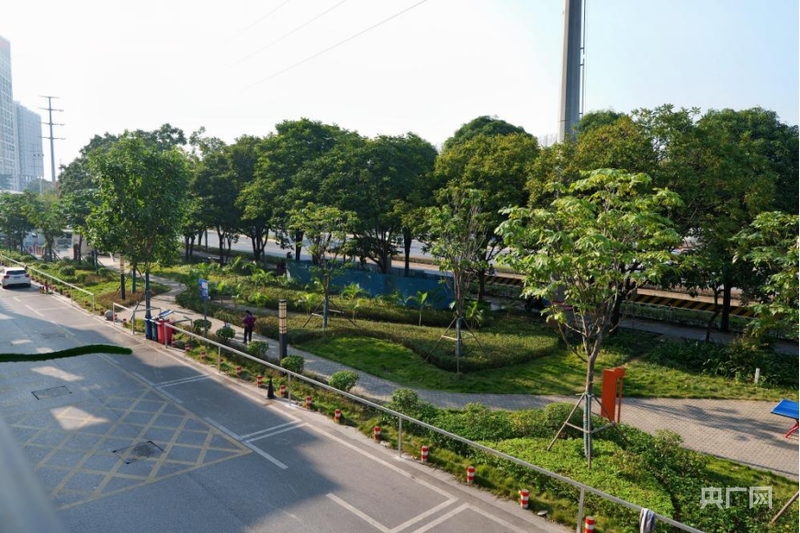 B·sport（中国体育）：从“健身去哪儿”到“活力满邕城”解码南宁体育强市建设新路径(图3)