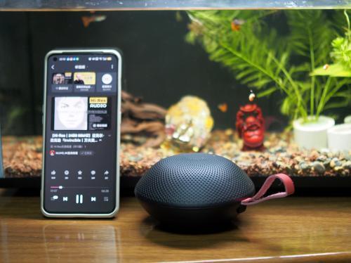 B体育：蓝牙小音箱哪个品牌好？2026年十大音质最好的蓝牙音箱最新榜单新鲜出炉！(图3)