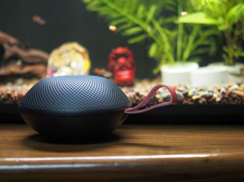 B体育：蓝牙小音箱哪个品牌好？2026年十大音质最好的蓝牙音箱最新榜单新鲜出炉！(图2)