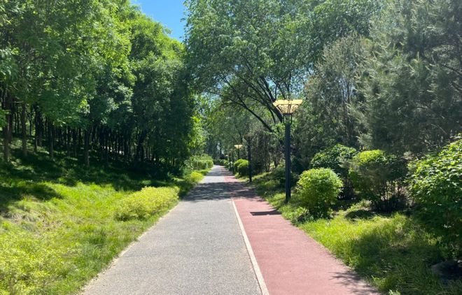 注意！来广营这公园内部路开始施工！(图3)