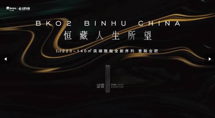 【合肥楼盘-合肥新楼盘-新房】望雲项目户型图-值得买吗(图3)