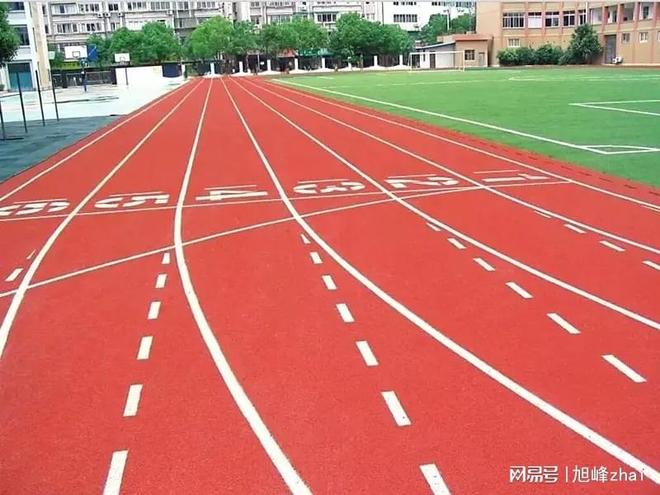 2026透气式塑胶跑道应用白皮书校园场地篇(图3)