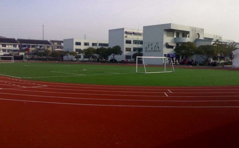 新型复合型塑胶跑道(图1)