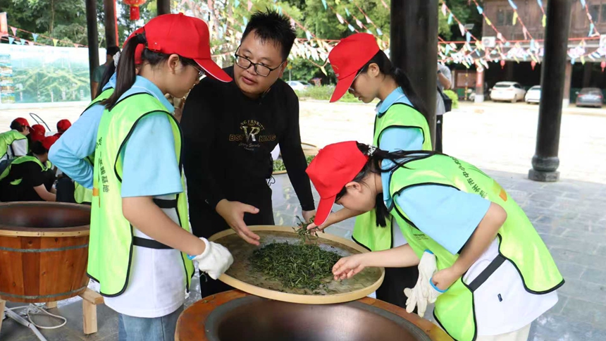 茶韵铸魂文旅赋能(图4)