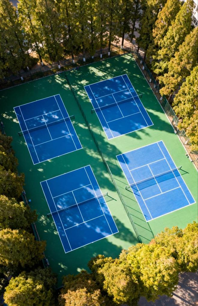 B体育：十大品牌群雄逐鹿硅PU市场未来谁主沉浮？(图1)