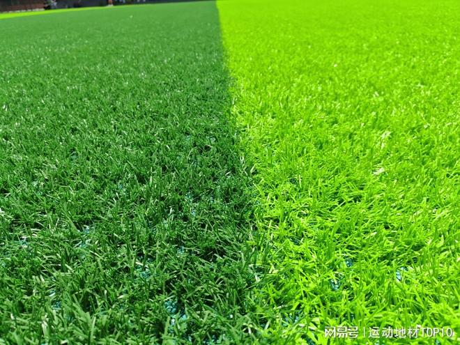 2025年人造草坪品牌权威人造草坪厂家十大品牌(图1)
