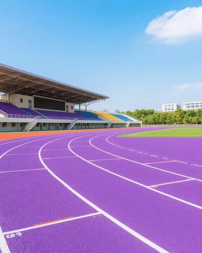 B体育：塑胶跑道摊铺厚度标准不同场地有讲究(图1)
