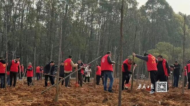 B·sport（中国体育）：这份绿色成绩单请查收！孝感去年建成“万树村”814个(图1)