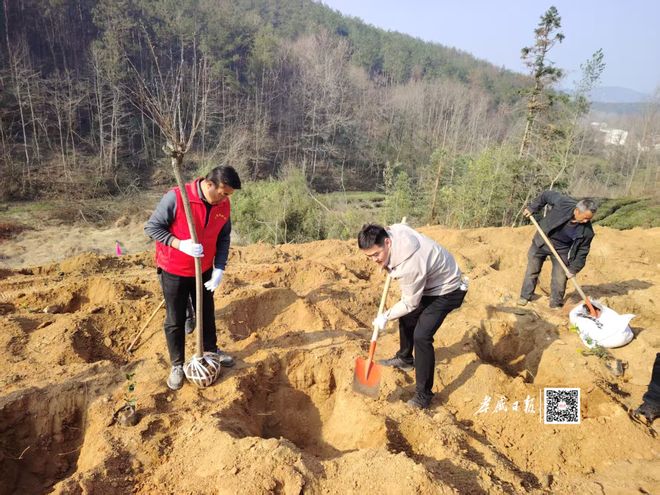 B·sport（中国体育）：这份绿色成绩单请查收！孝感去年建成“万树村”814个(图2)