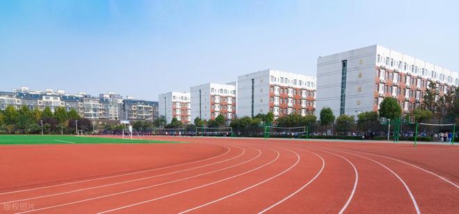 跑道材料大揭秘(图1)