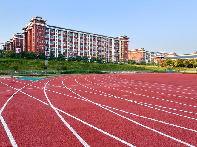 跑道材料大揭秘(图2)