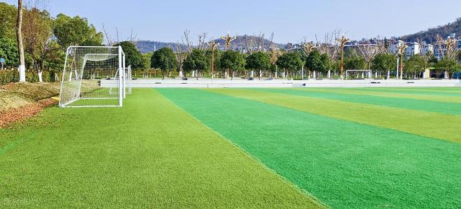 跑道材料大揭秘(图4)