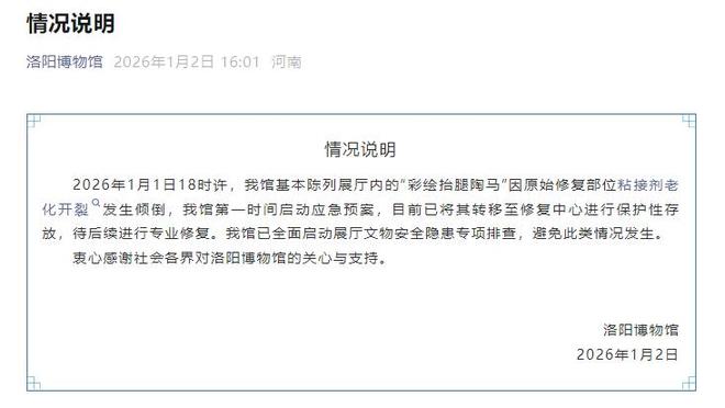 唐代彩绘贴金陶马碎了？洛阳博物馆发布情况说明(图1)