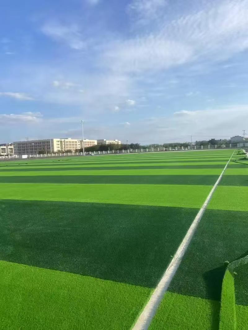 B体育：2026年湖北塑胶跑道施工市场：实力厂家深度解析与专业选型指南(图3)