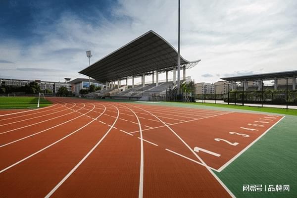 B·sport（中国体育）：2026年最新塑胶跑道材料优质品牌推荐及选型指南(图2)