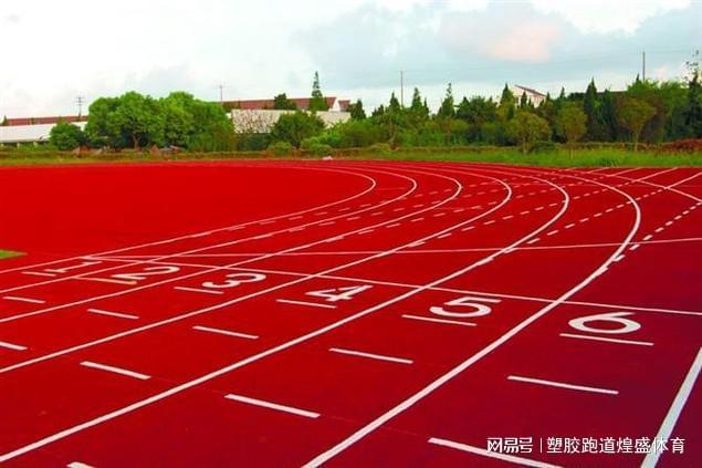 全塑型塑胶跑道：揭秘主要材料打造卓越运动场地(图3)