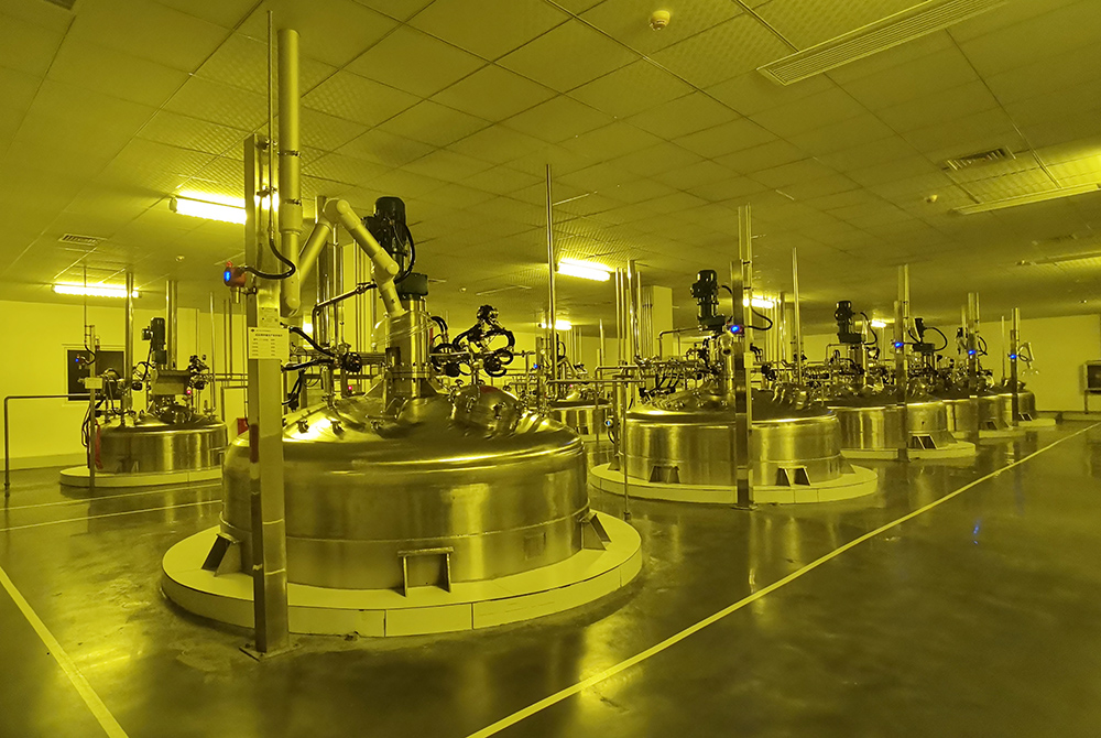 王场镇：项目建设加速度奋力冲刺全年红(图1)