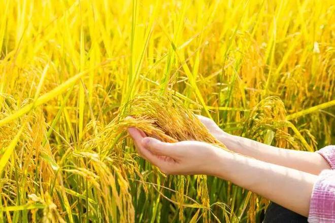 B体育：全民国家安全教育日科技越先进我们越要警惕这些隐形风险(图3)