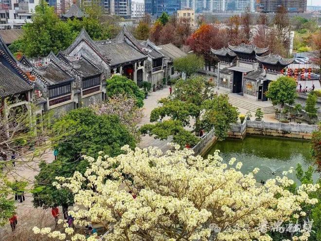 B·sport（中国体育）：官宣-星河余荫溪谷销售中心最新电话发布由开发商认证(图12)